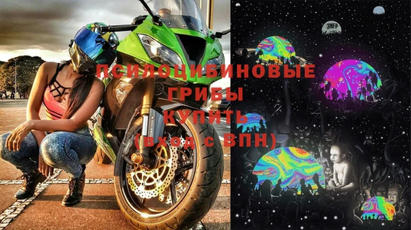 ешки Алзамай