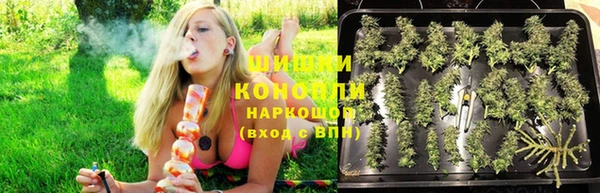 ешки Алзамай