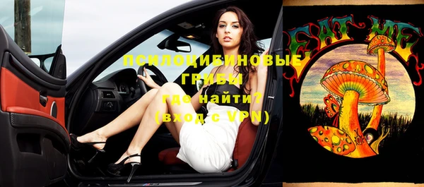 ешки Алзамай
