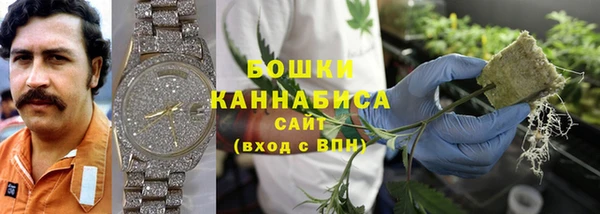 ГАЛЛЮЦИНОГЕННЫЕ ГРИБЫ Абдулино