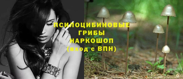 молекула духа Абинск