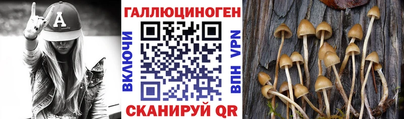 Псилоцибиновые грибы мухоморы  закладка  Щучье 